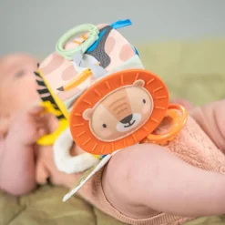 Aktivitetsleke, TAF Toys, Discovery Cube Best