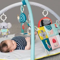 Babygym, TAF Toys, All Around Me Best