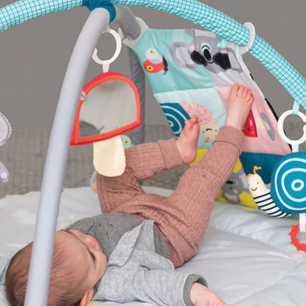 Babygym, TAF Toys, All Around Me Best