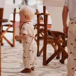 Babysko, Petit La Busch, Chocolate Clearance