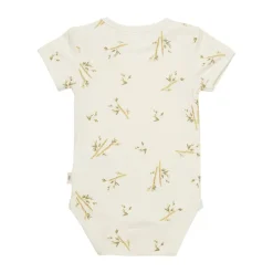 Body, Minymo, Bambus