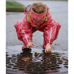 Kattnakken Helårsregndress Hagl, , Tolvmeterskogen, Raudkløver New
