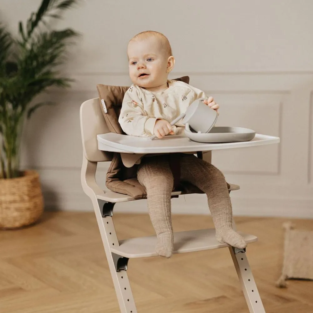 Leander Høystol, , Classic, Louie, Bøk, Cappuccino New