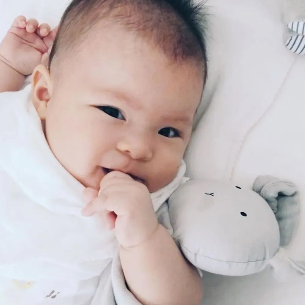 Liewood Kosefille, , Kanin, Dumbo Grey Outlet