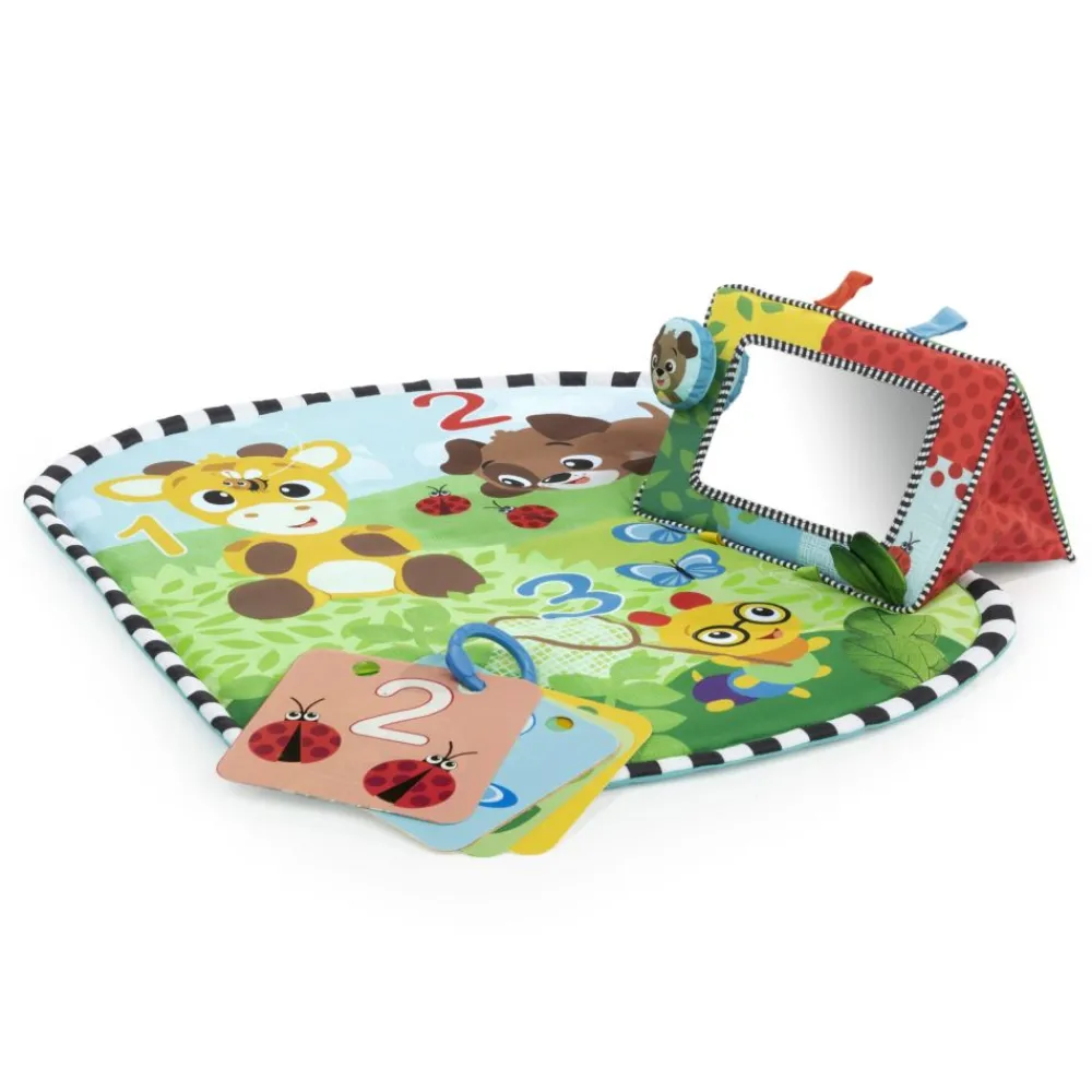 Lekematte, Baby Einstein Best