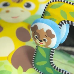 Lekematte, Baby Einstein Best