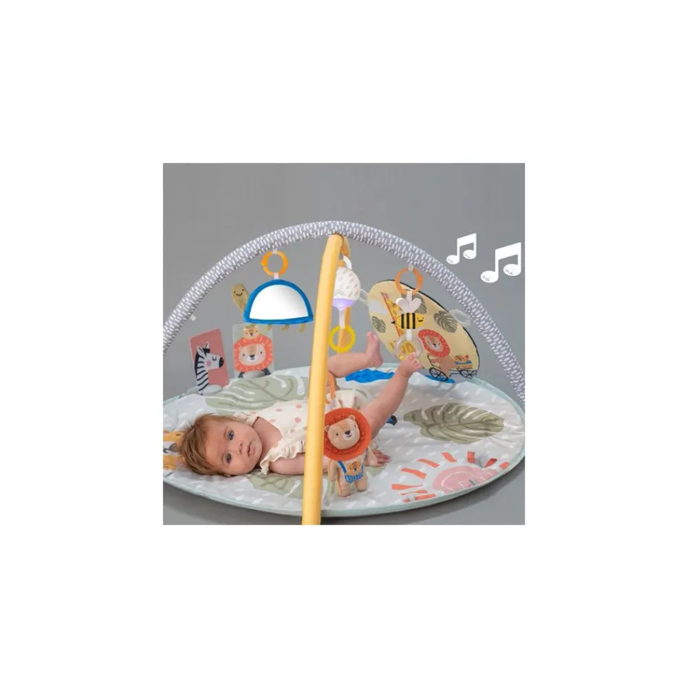 Lekematte, TAF Toys, Savannah Clearance