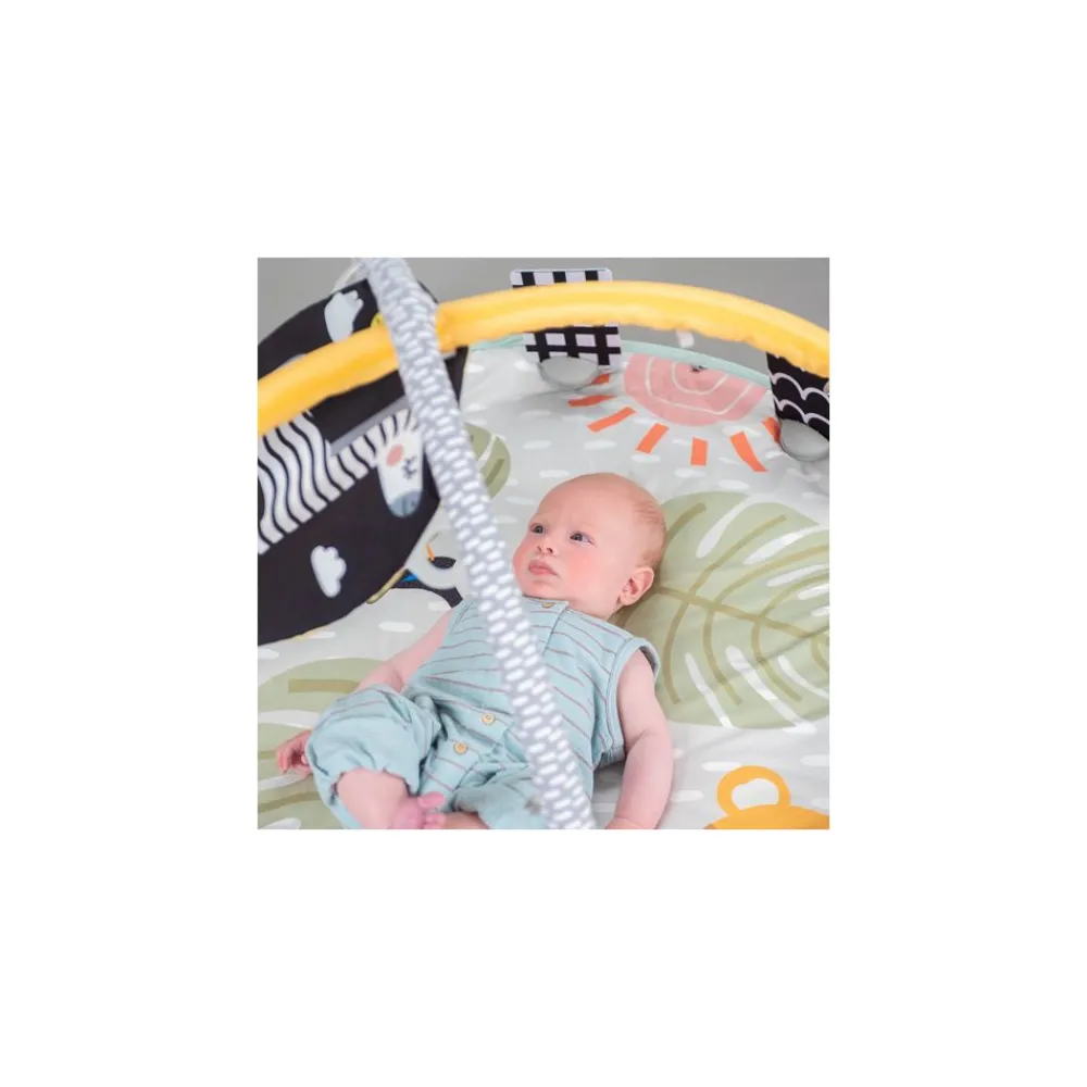 Lekematte, TAF Toys, Savannah Clearance