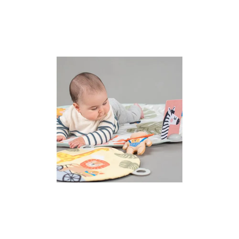 Lekematte, TAF Toys, Savannah Clearance