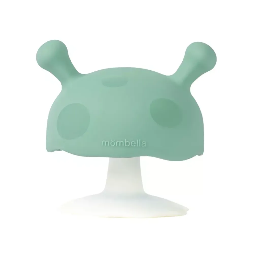 Mombella Mushroom, Biteleke, Eukalyptus