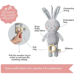 Music Bunny, TAF Toys, Rylee New