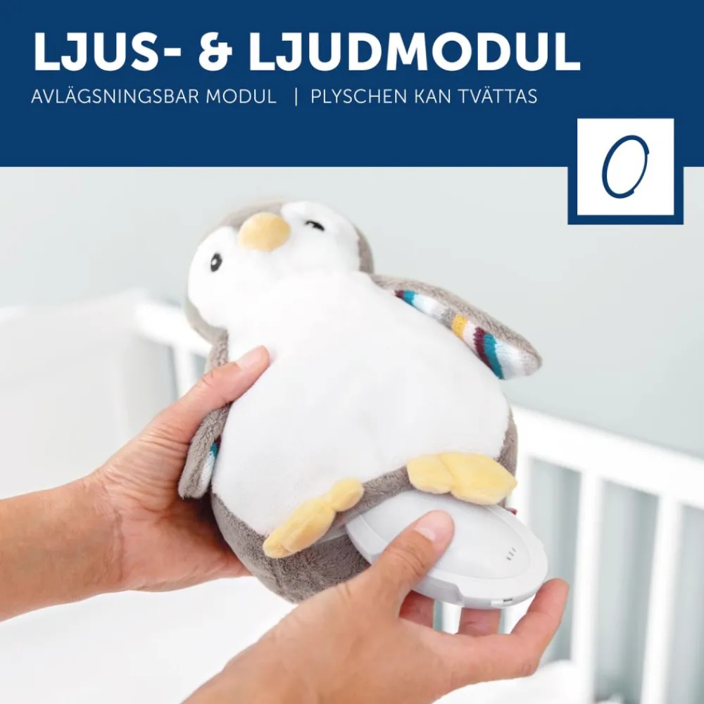 Zazu Nattlampe, , Phoebe Penguin