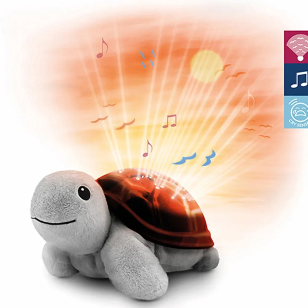 Zazu Nattlampe, , Tim The Turtle