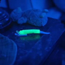 Nattlampe/Ammelys, LatchLight Clearance