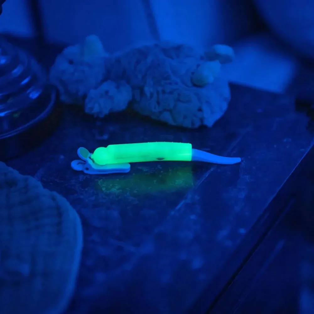 Nattlampe/Ammelys, LatchLight Clearance