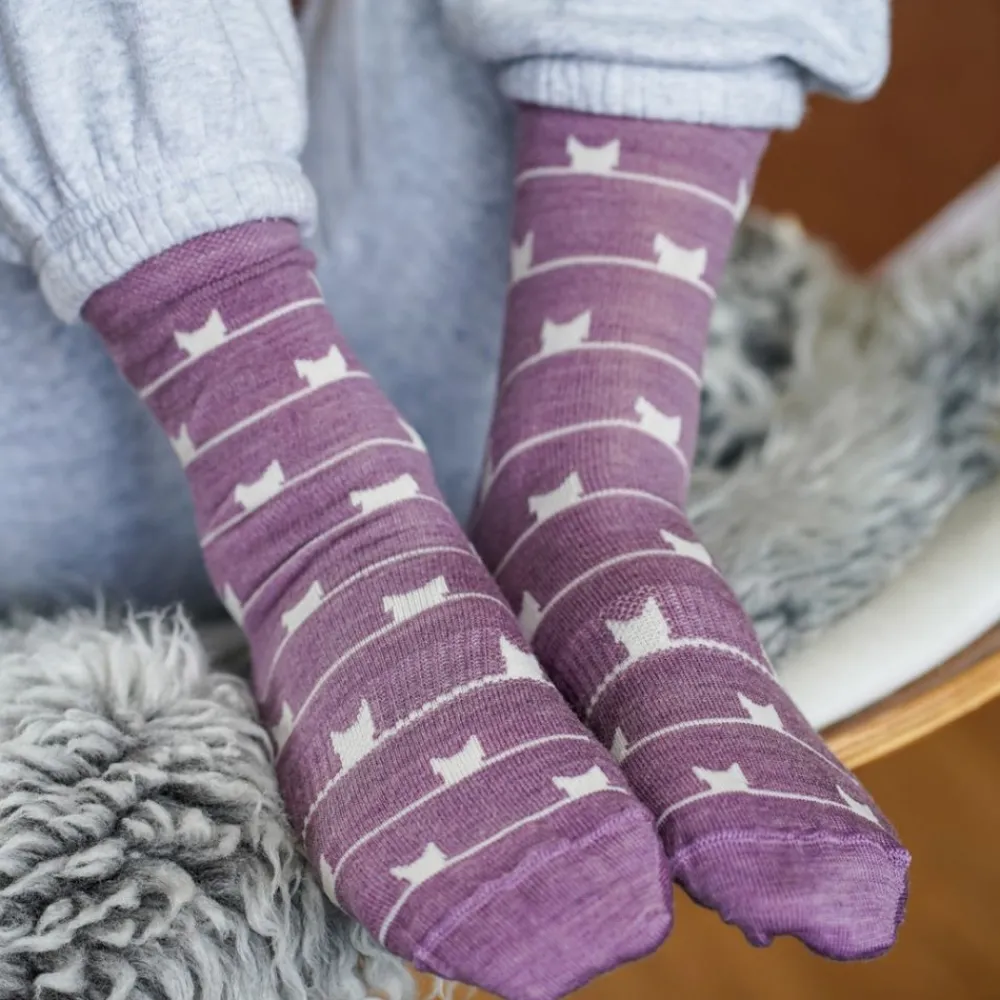 Kattnakken Ullsokk 3pk, , Fiol Sale