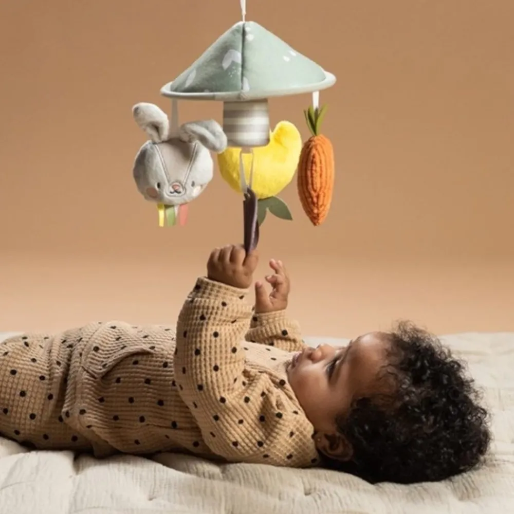 Uro, TAF Toys, Garden Discount