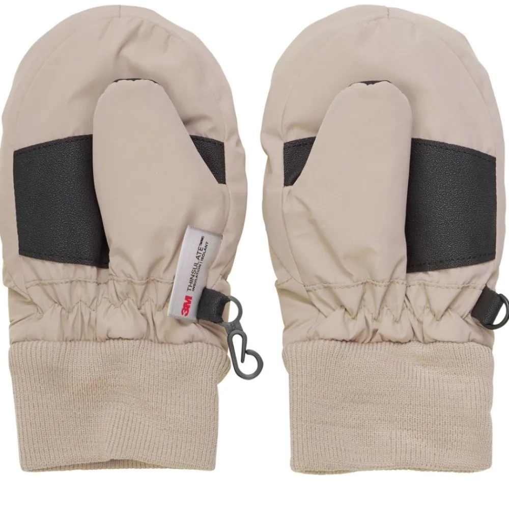 Votter, EnFant, Fungi New